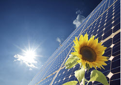 solar panel and sunflower