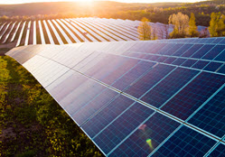 solar panel and sunflower