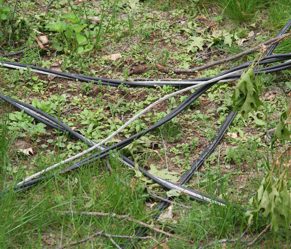 downed lines